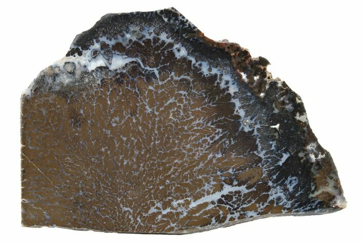 Polished Canadian River Plume Agate - Texas #227652